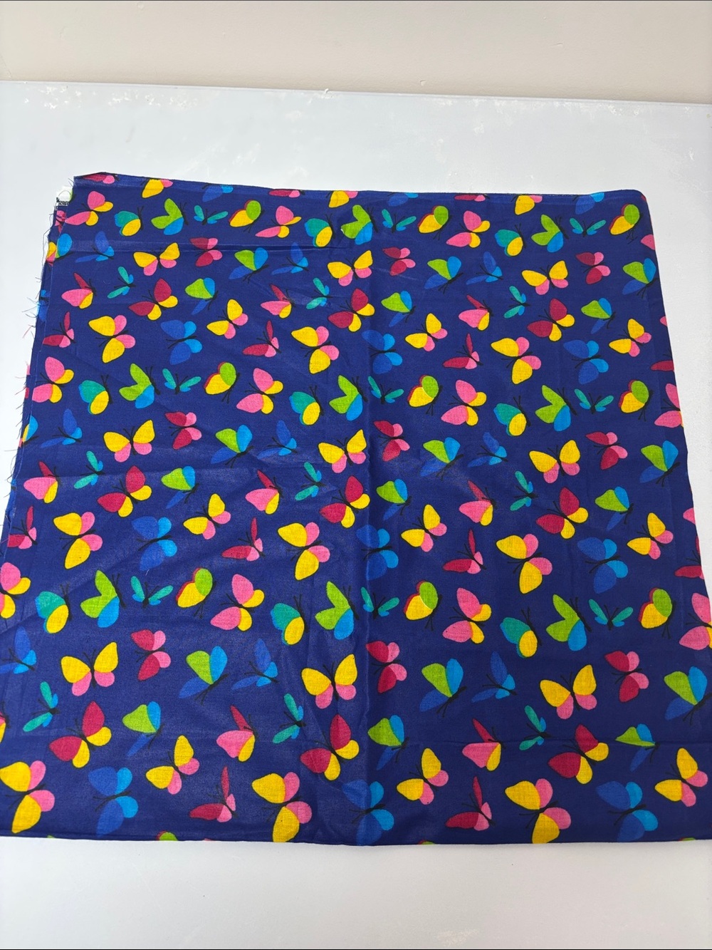 1 metre of fabric